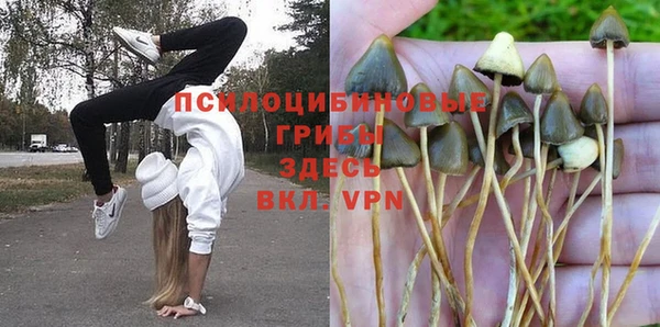 а пвп мука Кодинск