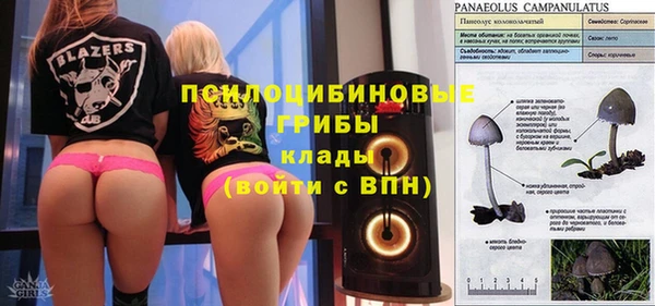мдма Козельск